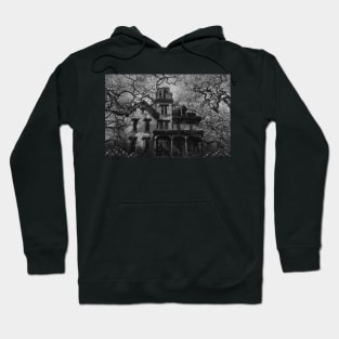 BIRD HOUSE Hoodie